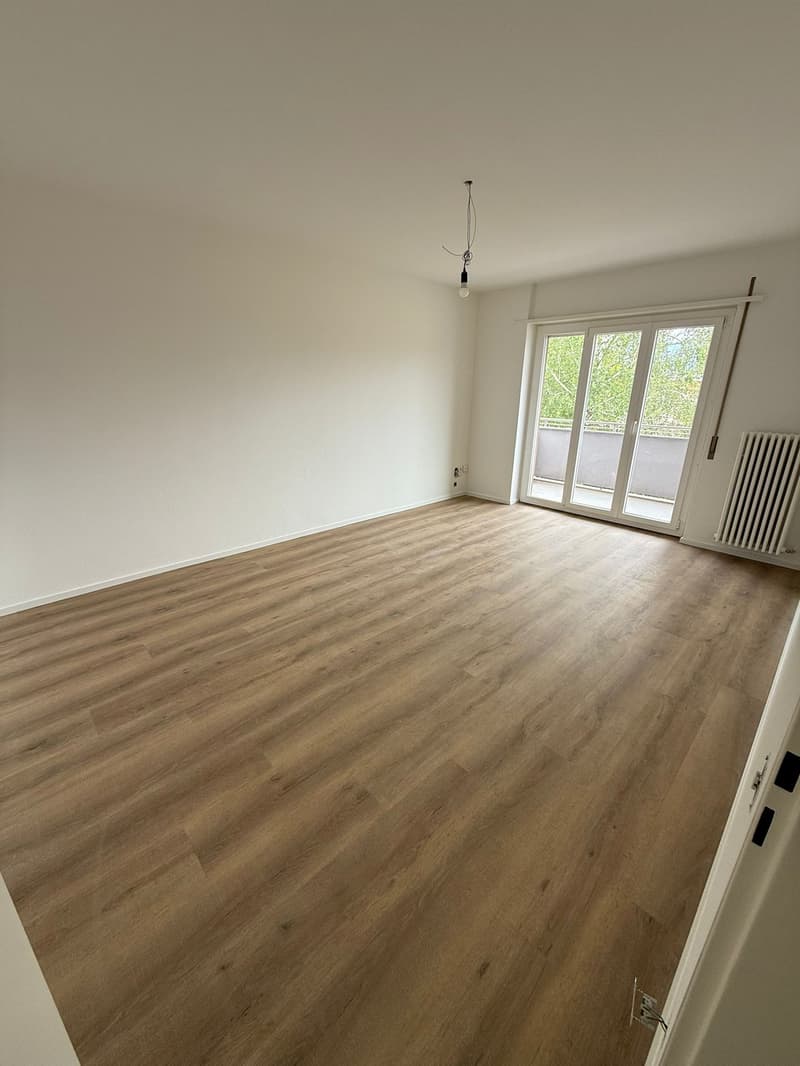 Komplett renoviert! 3 Zimmer - 1P - Breganzona (8)