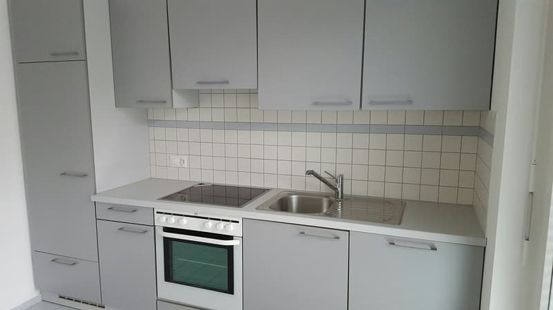 BRIGHT 3.5-ROOM APARTMENT WITH LAKE VIEW! (6)