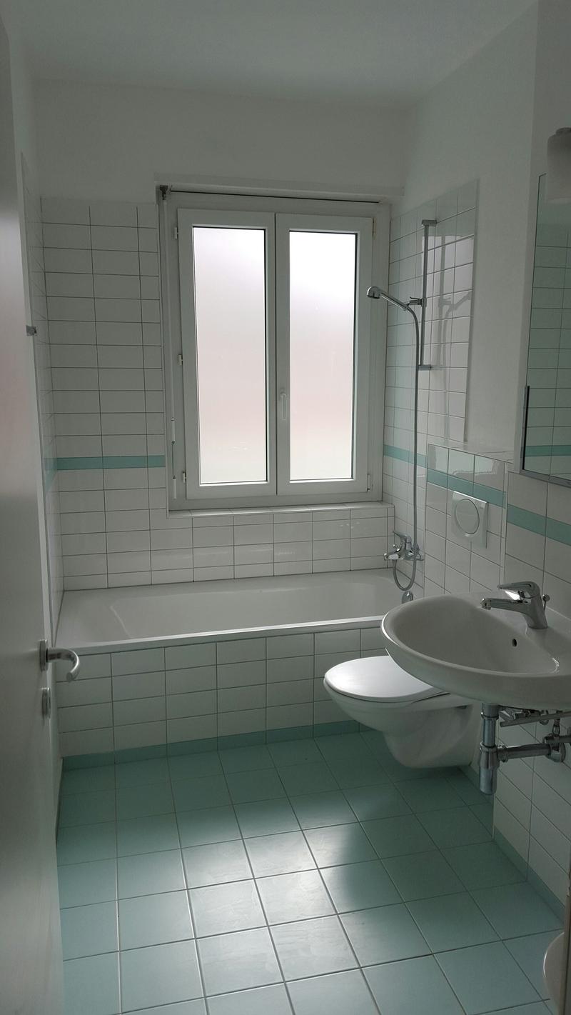BRIGHT 3.5-ROOM APARTMENT WITH LAKE VIEW! (7)