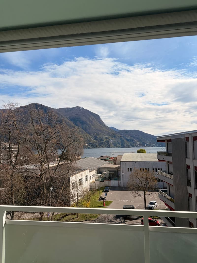 BRIGHT 3.5-ROOM APARTMENT WITH LAKE VIEW! (2)