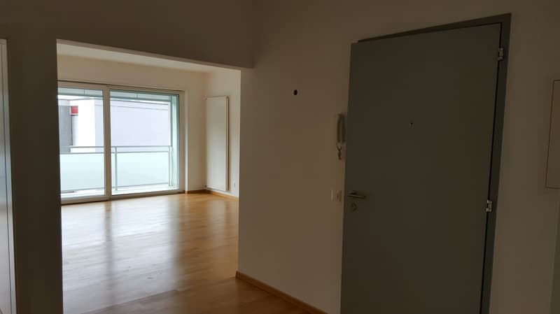 BRIGHT 3.5-ROOM APARTMENT WITH LAKE VIEW! (4)