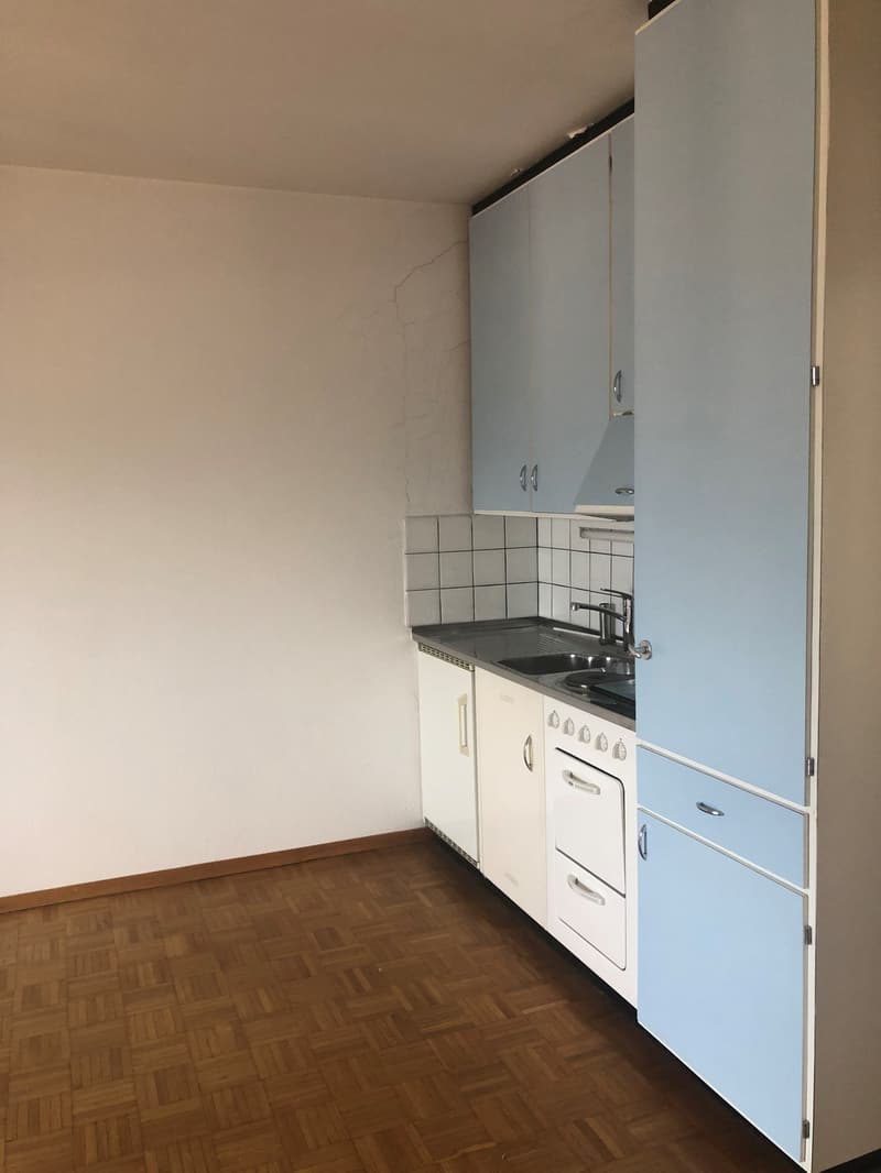 Wir vermieten helles Einzimmerapartment (2)