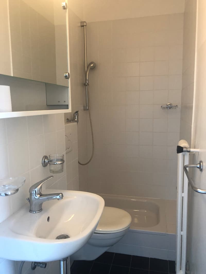 Wir vermieten helles Einzimmerapartment (3)