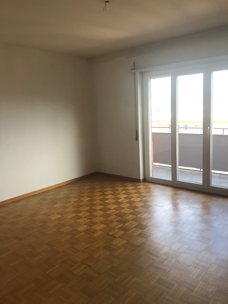 Wir vermieten helles Einzimmerapartment (1)