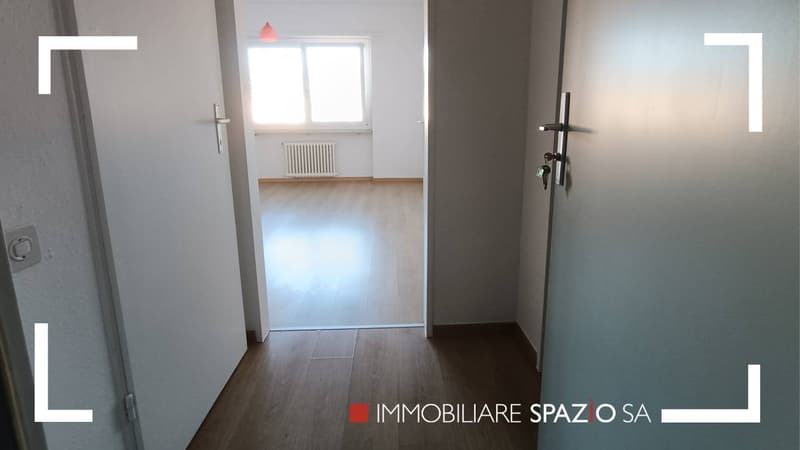 Breganzona 2 Zimmer - 1P (1)