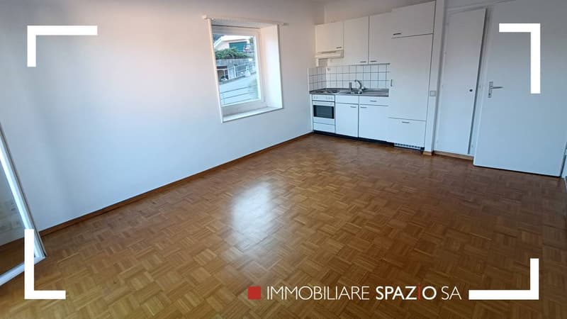 Breganzona 2 Zimmer - 1P (2)