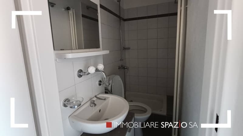Breganzona 2 Zimmer - 1P (6)