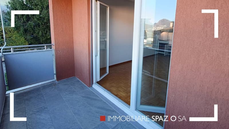 Breganzona 2 Zimmer - 1P (4)
