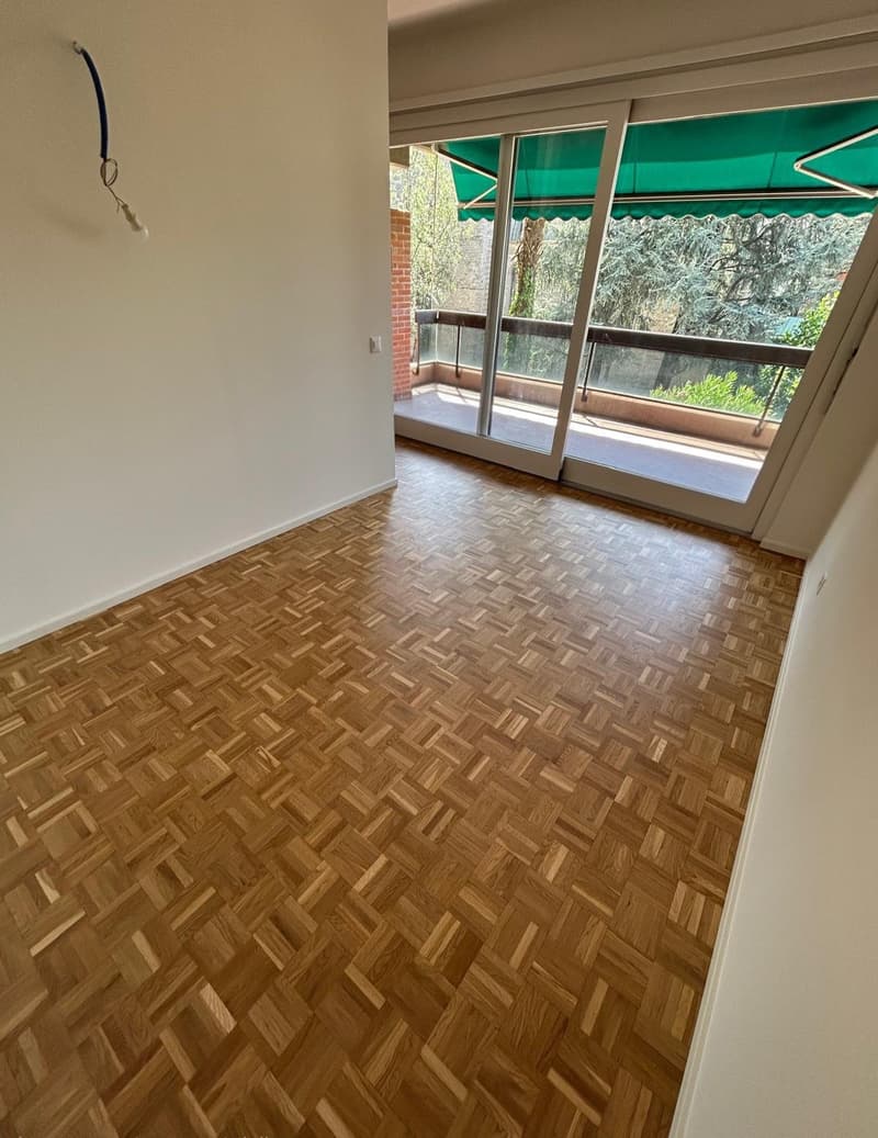 Accogliente appartamento di 2 locali con balcone - Rinnovato (2)