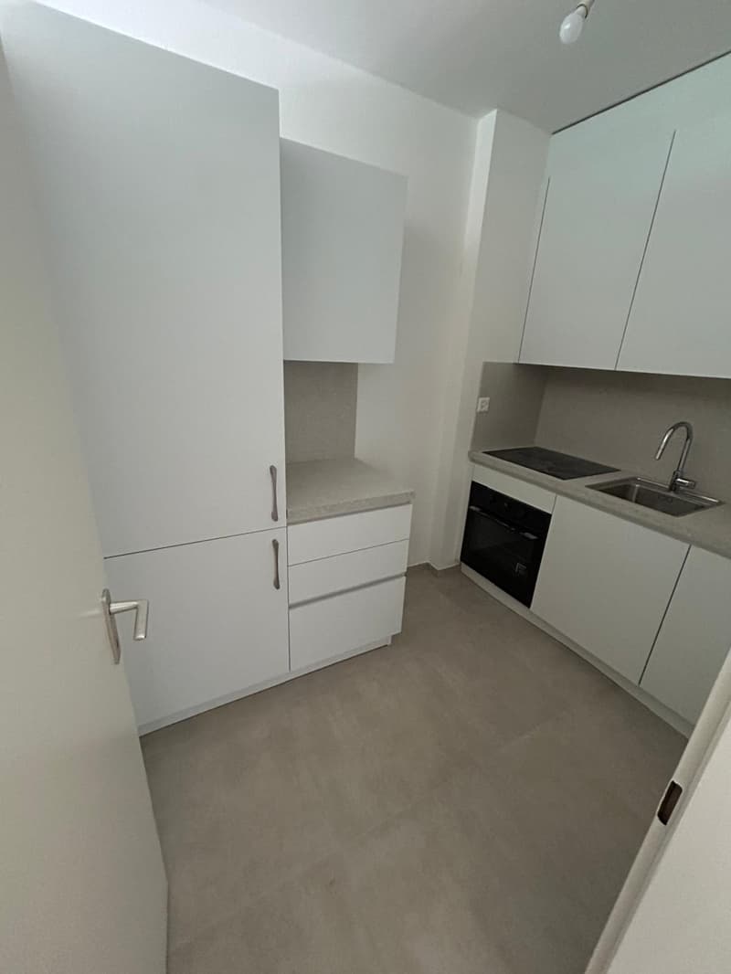 Accogliente appartamento di 2 locali con balcone - Rinnovato (3)