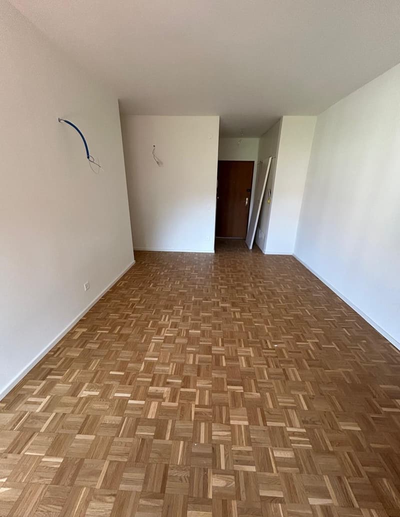 Accogliente appartamento di 2 locali con balcone - Rinnovato (4)