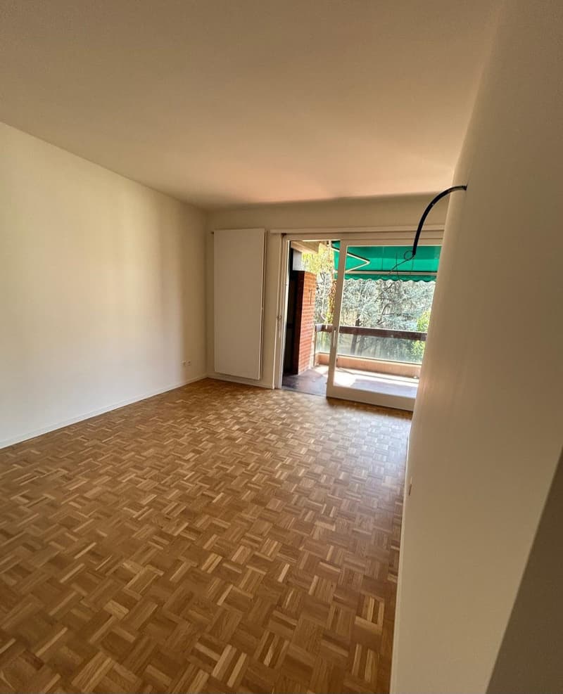Accogliente appartamento di 2 locali con balcone - Rinnovato (1)