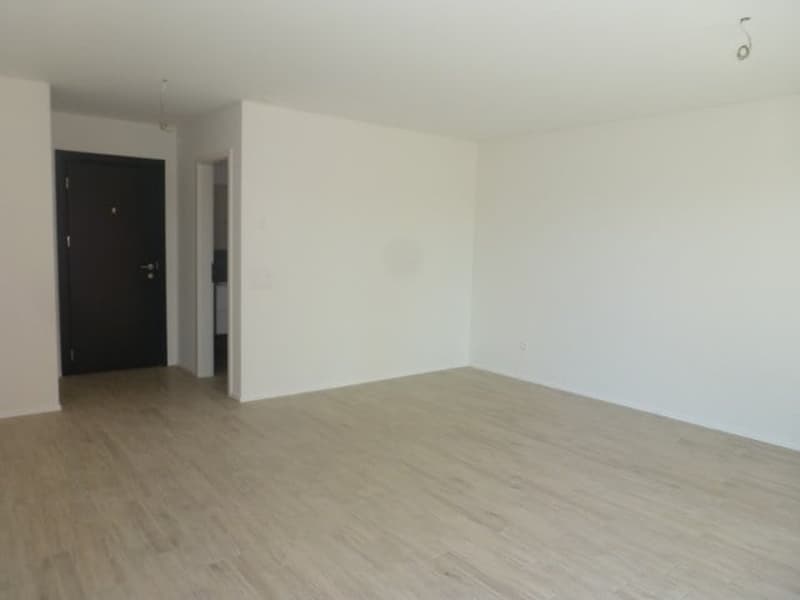 Appartement lumineux de 1,5 pièces avec balcon à Vacallo (5)