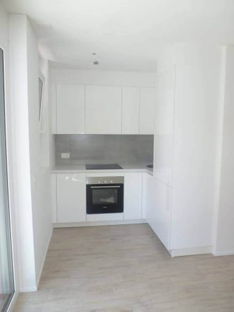 Appartement lumineux de 1,5 pièces avec balcon à Vacallo (4)