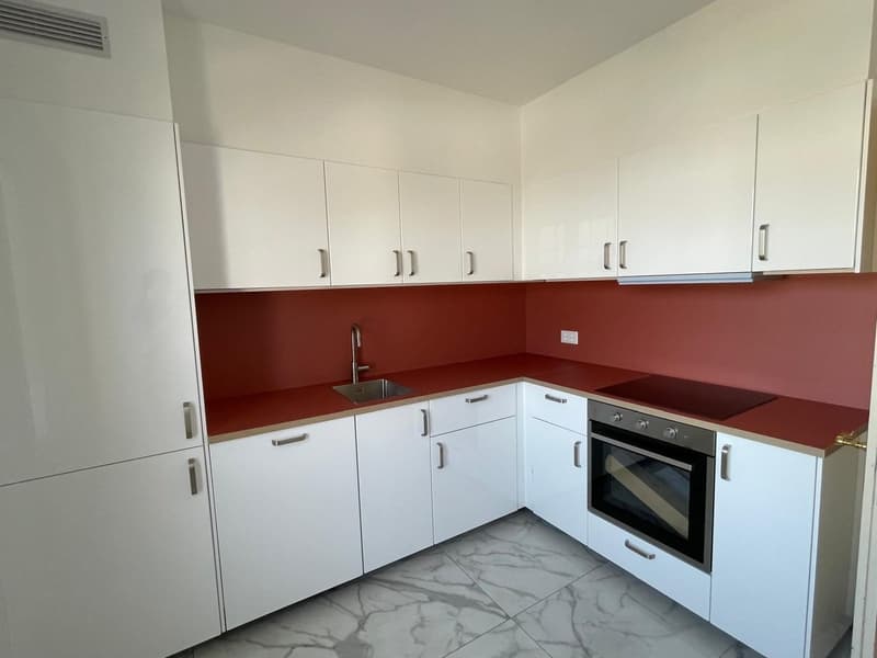 Luminosi appartamenti di 3.5 locali a Vira (Gambarogno) 2 unità – PIENA VISTA LAGO! (2)