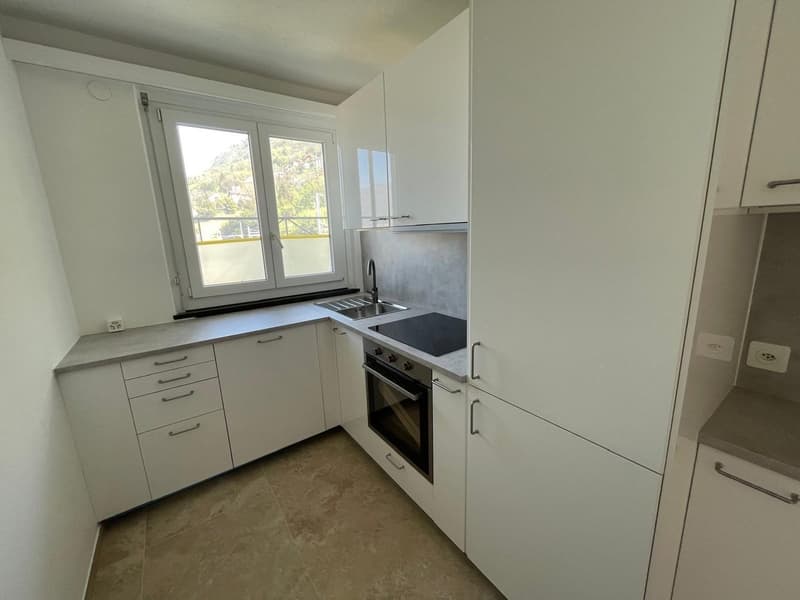 Luminosi appartamenti di 3.5 locali a Vira (Gambarogno) 2 unità – PIENA VISTA LAGO! (3)