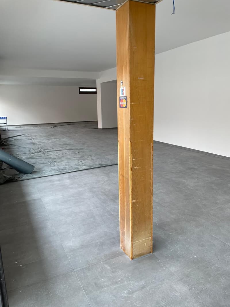 ATTICO CON PIENA VISTA LAGO! - Vira Gambarogno - 180 mq (14)