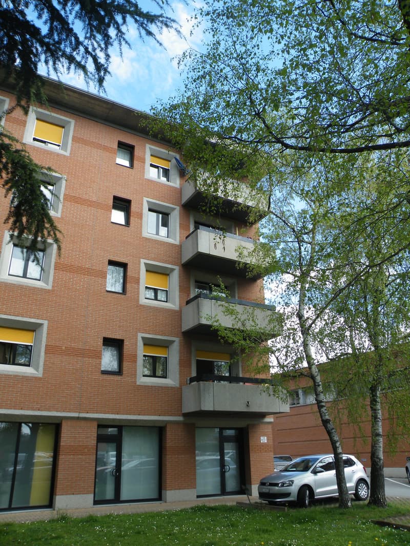 "Ampio appartamento 2.5 locali a Manno" (1)