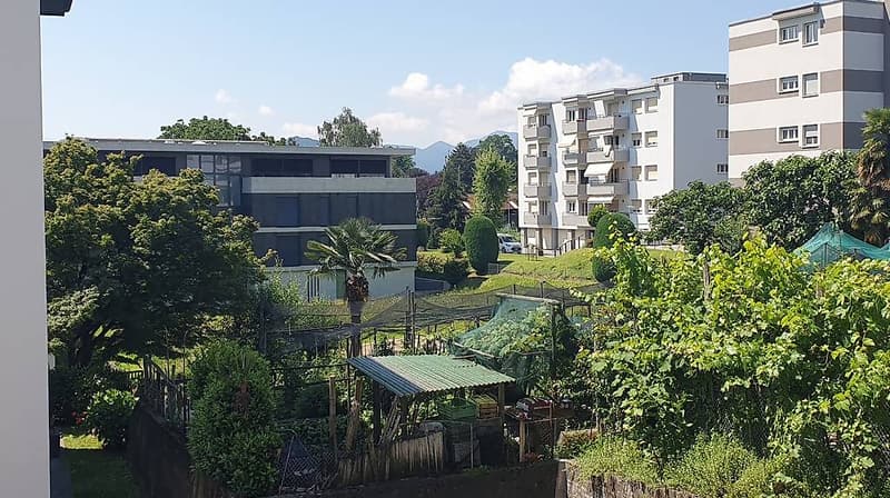large garden, trees, plants, vegetables, small house