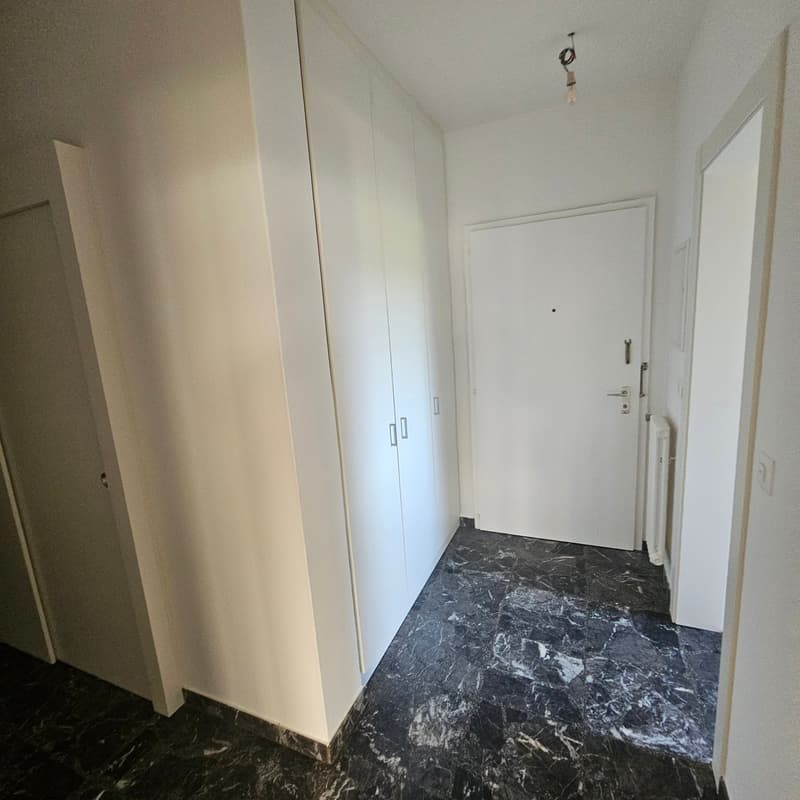 The image shows a hallway with white walls, a white door, and a black marble-patterned floor. There is a built-in closet or cabinet along one wall.