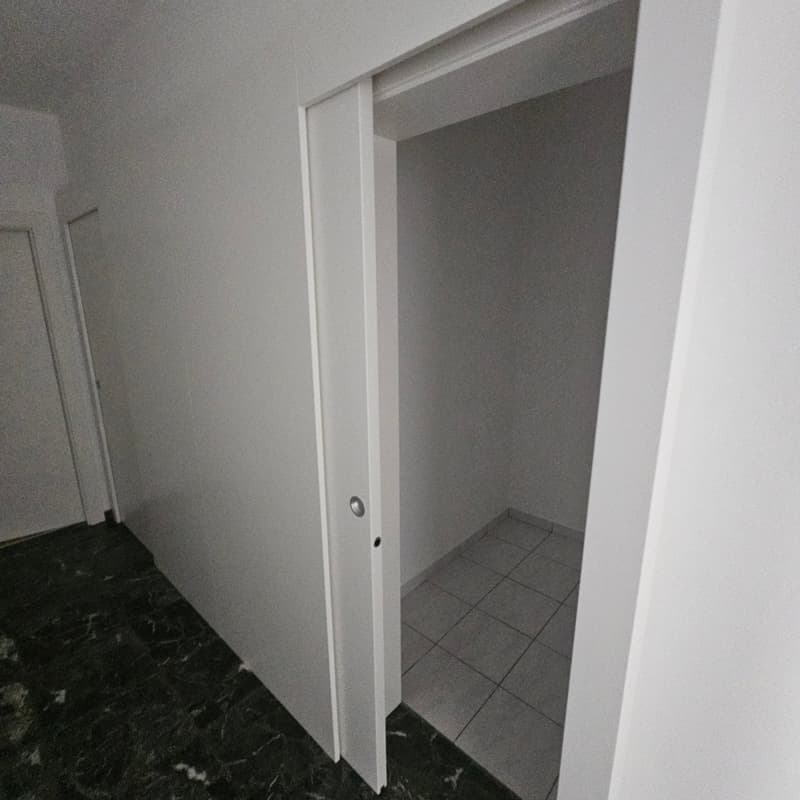 The image shows a hallway or entryway with a closed door leading to another room. The floor is tiled, and the walls are painted a light color. The space appears to be minimalist and functional in design.