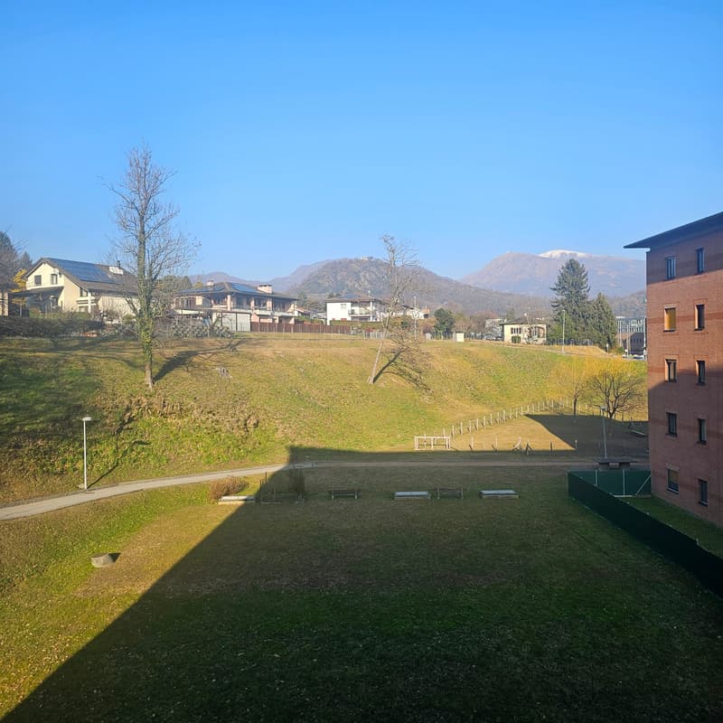 a green open space with grass and some trees