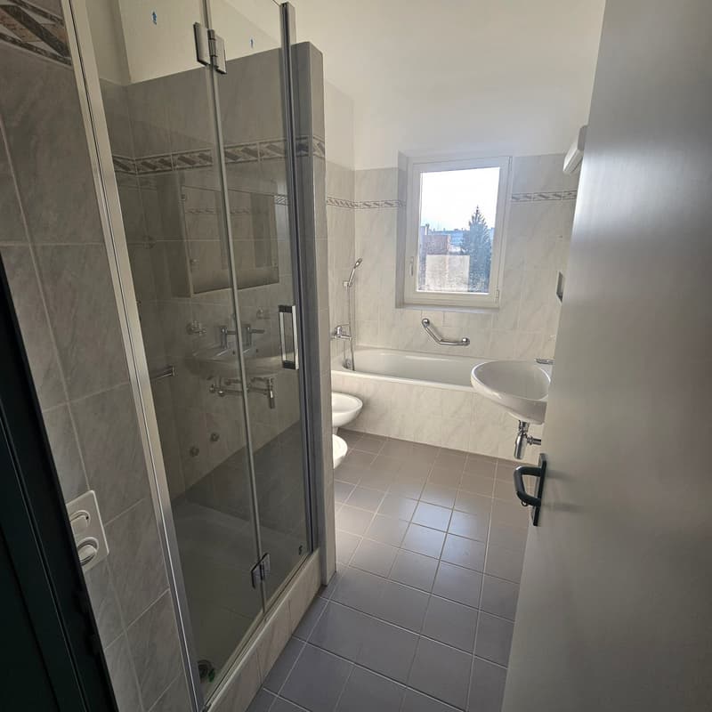 Shower, toilet, bathtub, sink