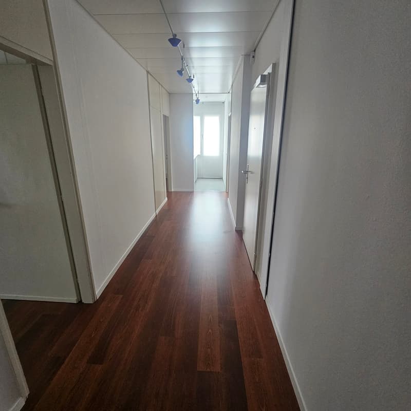 Bright 3-room office for rent in Lugano – Via Luigi Canonica 4 (2)