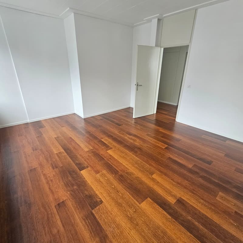 Bright 3-room office for rent in Lugano – Via Luigi Canonica 4 (5)