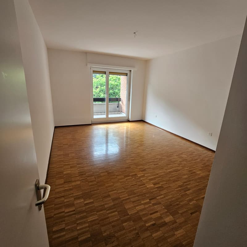 Luminoso appartamento di 3.5 locali con balcone a Manno (6)