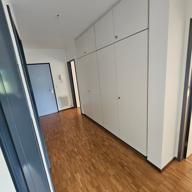 Luminoso appartamento di 3.5 locali con balcone a Manno (3)