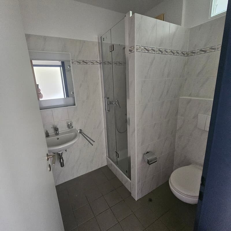 Appartement lumineux de 3.5 pièces à Manno avec jardin – disponible à partir de septembre (12)