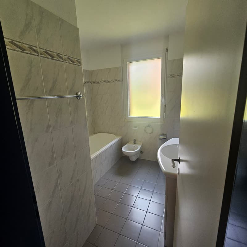 Appartement lumineux de 3.5 pièces à Manno avec jardin – disponible à partir de septembre (11)