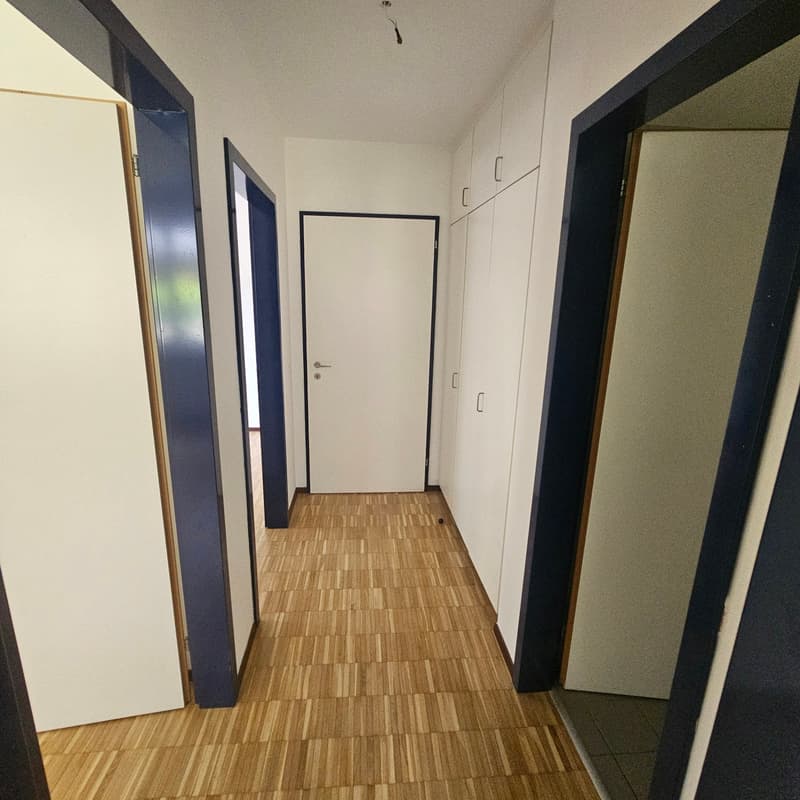 Appartement lumineux de 3.5 pièces à Manno avec jardin – disponible à partir de septembre (8)
