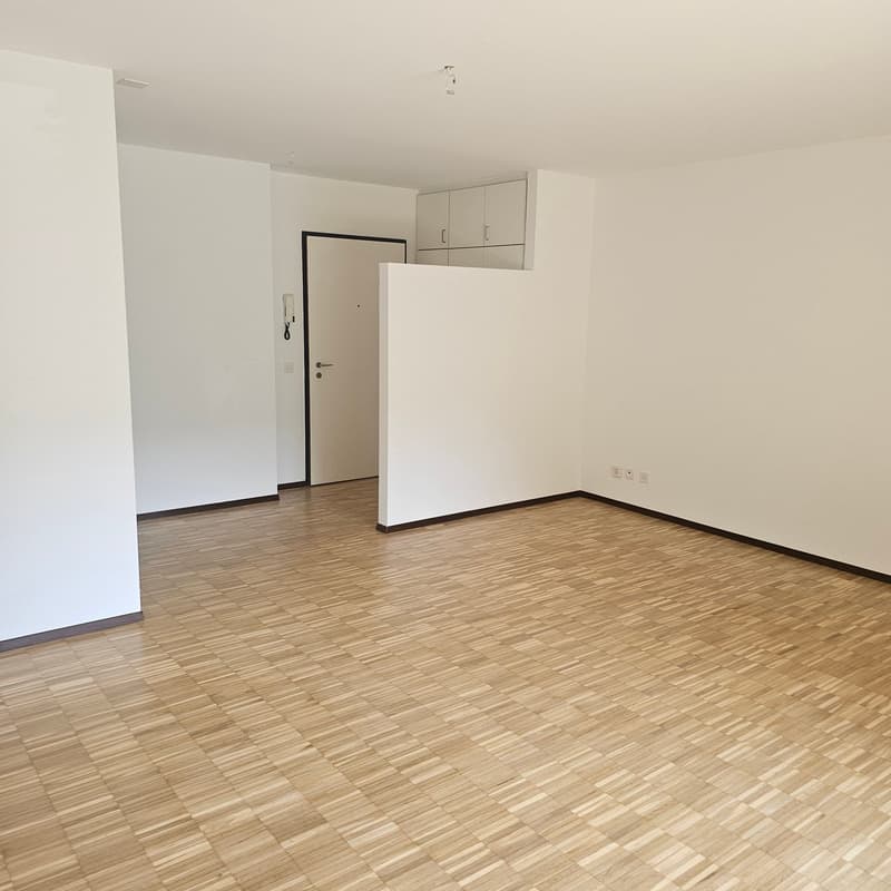 Appartement lumineux de 3.5 pièces à Manno avec jardin – disponible à partir de septembre (2)