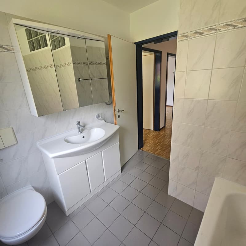 Appartement lumineux de 3.5 pièces à Manno avec jardin – disponible à partir de septembre (10)