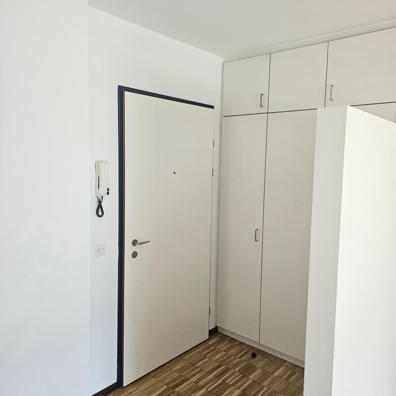 Appartement lumineux de 3.5 pièces à Manno avec jardin – disponible à partir de septembre (3)