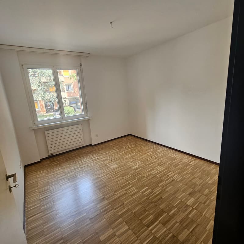 Appartement lumineux de 3.5 pièces à Manno avec jardin – disponible à partir de septembre (7)