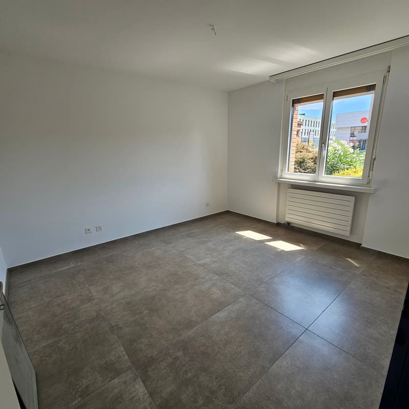 Appartamento 3.5 locali in prima locazione a Manno con giardino (14)