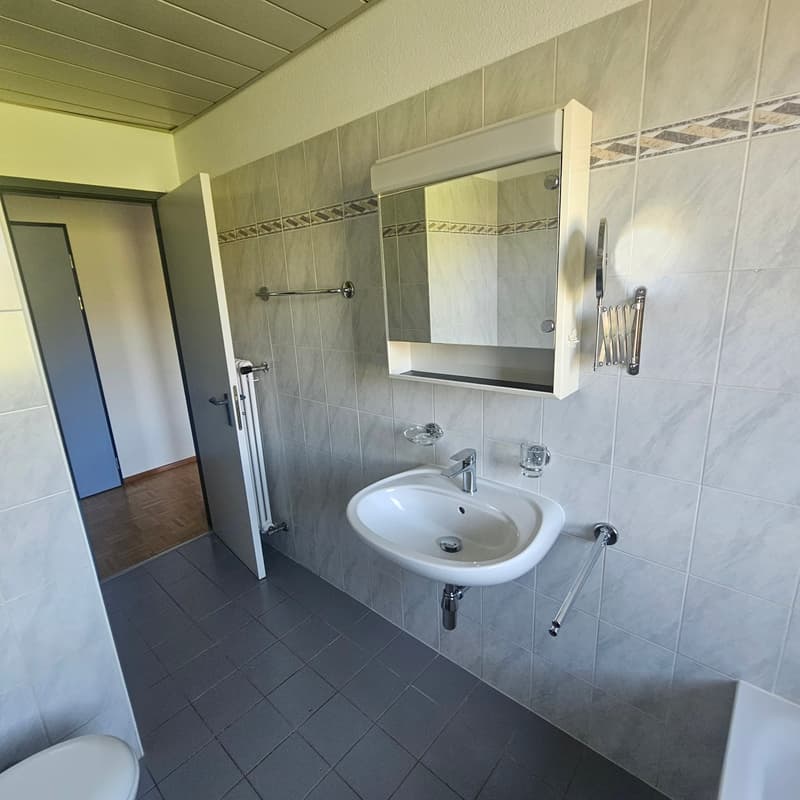 Appartamento 3.5 locali a Manno a CHF 1'600.00 spese comprese (9)