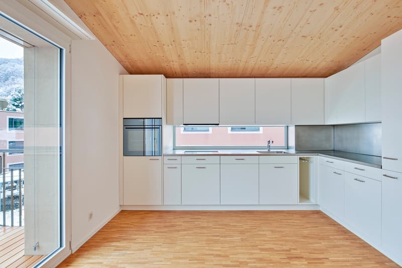 modern kitchen, white cabinets, wooden flooring, glass door, window, stainless steel countertop