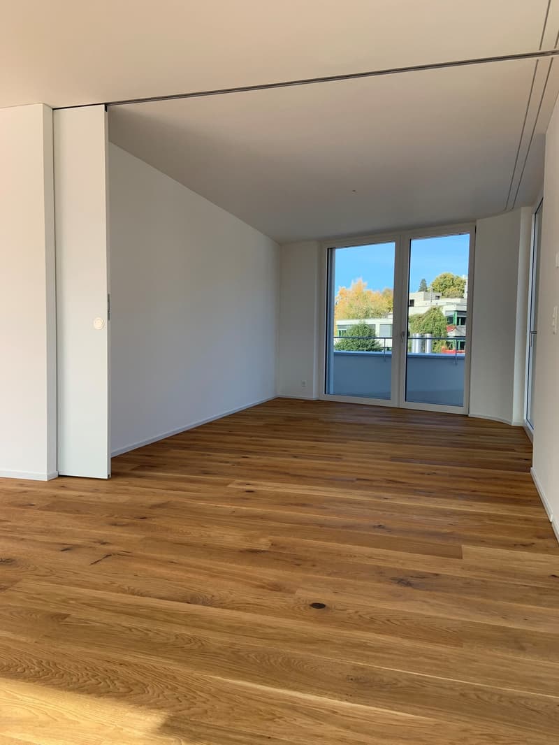 Appartamento attico esclusivo con vista sul Pilatus e grande terrazza! (9)
