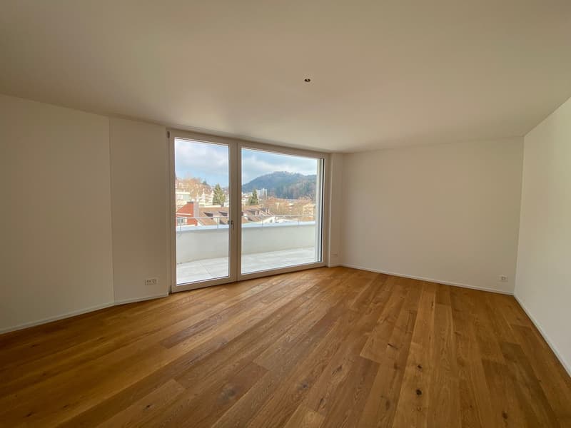 Appartamento attico esclusivo con vista sul Pilatus e grande terrazza! (8)