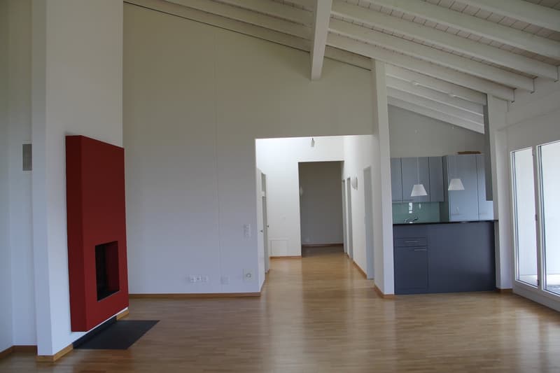 Exclusive gem with huge terrace and view of Lake Lucerne (5)
