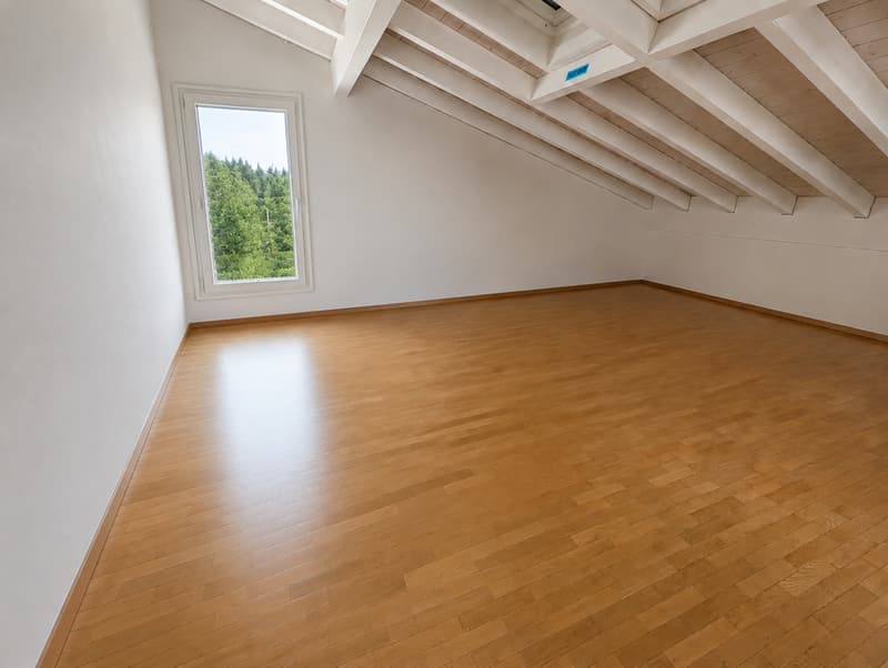 Exclusive gem with huge terrace and view of Lake Lucerne (11)