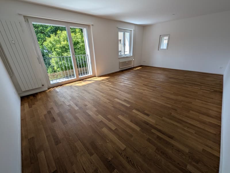Charming 3.5-room apartment in the St. Karli quarter (1)