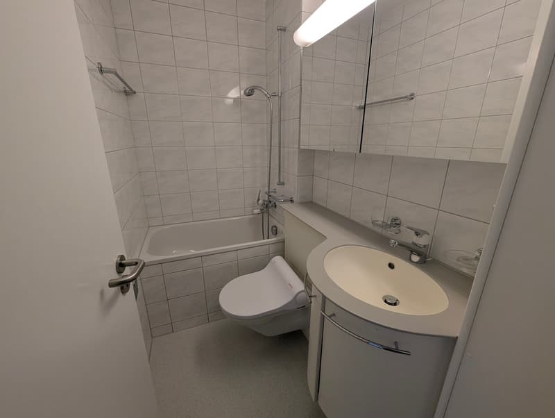 Ihr kleines Reich mit Seesicht in der Stadt Luzern (5)