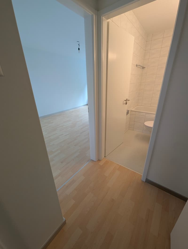 Ihr kleines Reich mit Seesicht in der Stadt Luzern (6)