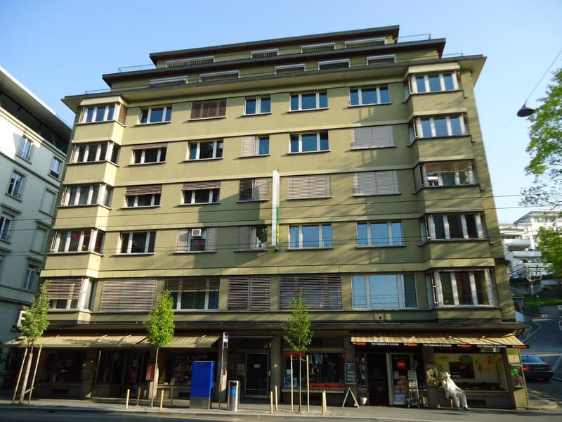 Ihr kleines Reich mit Seesicht in der Stadt Luzern (10)
