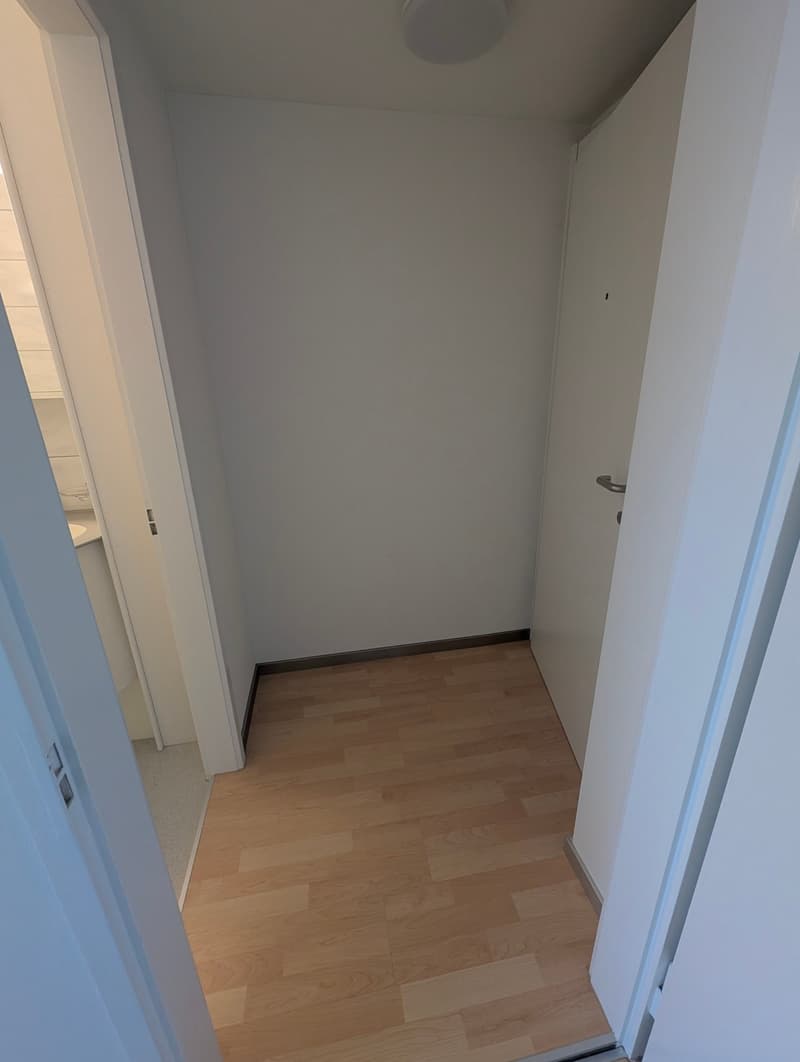 Ihr kleines Reich mit Seesicht in der Stadt Luzern (7)